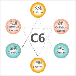 金和C6六脈神劍 跨越企業管理黑洞的智慧之道